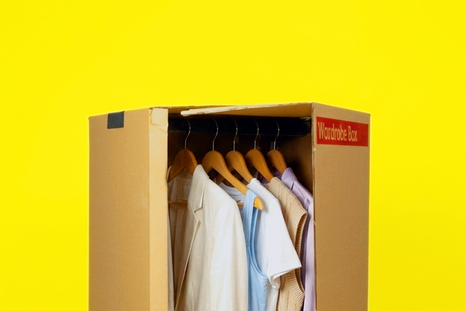 wardrobe box